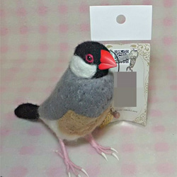 オーダー受け付け 文鳥 羊毛フェルト 羊毛フェルト クリぱん 通販
