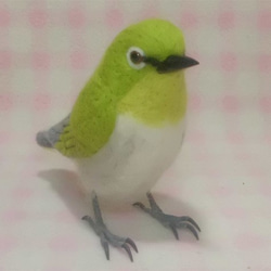 ほぼライフサイズ♪ メジロ 目白　野鳥 羊毛フェルト　受注作成　羊毛インコ　羊毛オブジェ　メモリアル　工房小鳥屋さん　 1枚目の画像