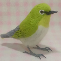 ほぼライフサイズ♪ メジロ 目白　野鳥 羊毛フェルト　受注作成　羊毛インコ　羊毛オブジェ　メモリアル　工房小鳥屋さん　 3枚目の画像