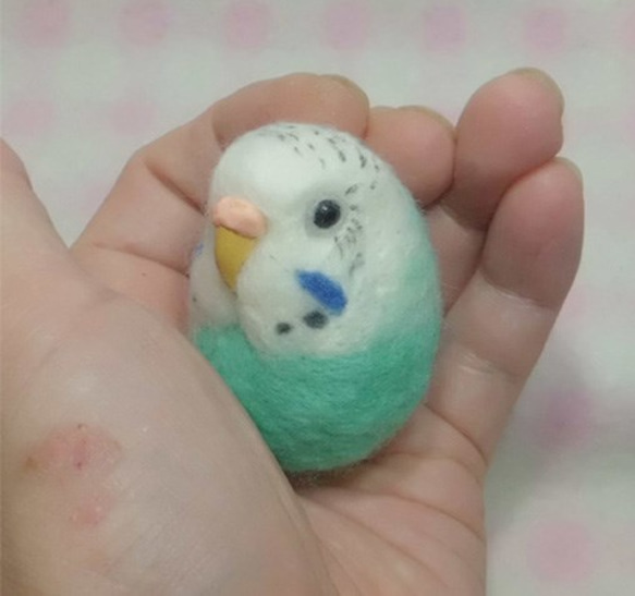 セキセイインコ　ミントブルーオパーリン☆マグネット/ブローチ どちらか選択 受注作成　うちのこオーダー可能 羊毛フェルト 1枚目の画像