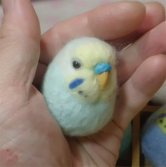 セキセイインコ パステルブル－レインボー 羊毛フェルト 選べる2タイプ