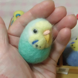 セキセイインコ　レインボー・ミントブルー　羊毛フェルト　小鳥マカロン(？)選べる2タイプ(マグネットまたはブローチ） 1枚目の画像