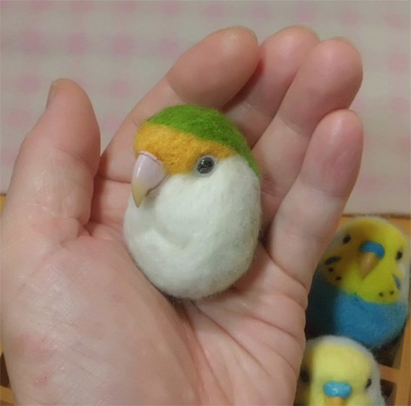 コザクラインコ ブルーチェリー 羊毛フェルト☆マグネット/ブローチどちらか選択 受注作成　うちのこオーダー可能 2枚目の画像