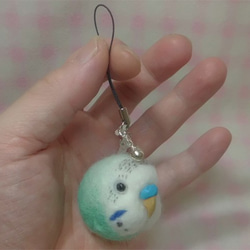 虎皮鸚鵡4★鑰匙扣/手機的魅力/耳機插孔 / Budgerigar4★Key chain/phone charm 第3張的照片