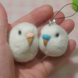 虎皮鸚鵡2★鑰匙扣/手機的魅力/耳機插孔 / Budgerigar 2★Key chain/phone charm 第4張的照片