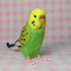 リアルサイズ  セキセイインコ グリーンオパ－リン  羊毛フェルト　受注作成　鼻の色変更可能　羊毛インコ　メモリアル 2枚目の画像