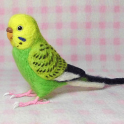 リアルサイズ  セキセイインコ グリーンオパ－リン  羊毛フェルト　受注作成　鼻の色変更可能　羊毛インコ　メモリアル 3枚目の画像