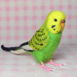 リアルサイズ  セキセイインコ グリーンオパ－リン  羊毛フェルト　受注作成　鼻の色変更可能　羊毛インコ　メモリアル 4枚目の画像