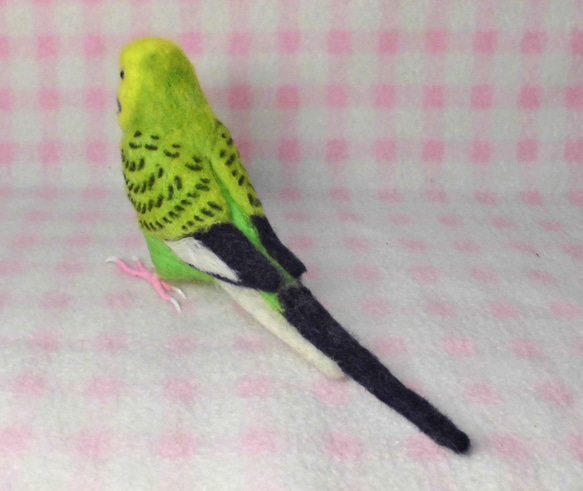 リアルサイズ  セキセイインコ グリーンオパ－リン  羊毛フェルト　受注作成　鼻の色変更可能　羊毛インコ　メモリアル 5枚目の画像