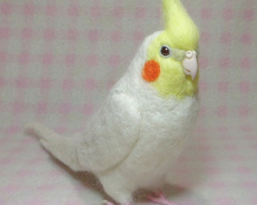 2_4341f5b664d8605a55092ea94848