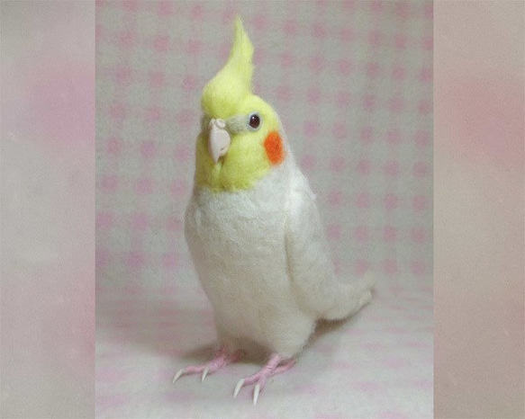 ライフサイズ　オカメインコ ルチノ－（濃赤目）リアル　羊毛フェルト　受注作成　羊毛インコ　メモリアル　羊毛ぬいぐるみ 2枚目の画像