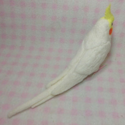 ***現實大小♪玄鳳鸚鵡（雞尾鸚鵡）2☆羊毛氈***Cockatiel2 第4張的照片