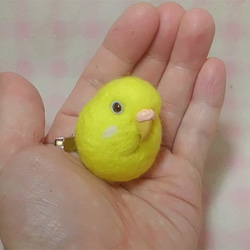 セキセイインコ ルチノー(濃赤目）☆マグネット/ブローチどちらか選択 鼻色選択可能　受注作成　羊毛フェルト 1枚目の画像