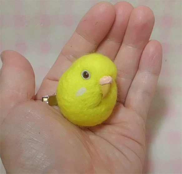 セキセイインコ ルチノー(濃赤目）☆マグネット/ブローチどちらか選択 鼻色選択可能　受注作成　羊毛フェルト 1枚目の画像