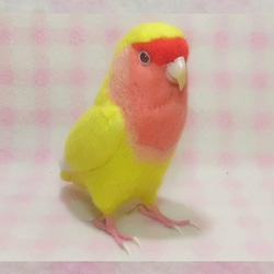 リアルサイズ♪ コザクラインコ ルチノー（濃赤目）羊毛フェルト　受注作成　うちの子オーダー可能　メモリアル　羊毛インコ 1枚目の画像