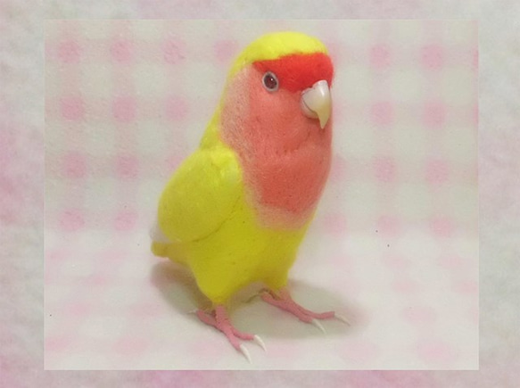 リアルサイズ♪ コザクラインコ ルチノー（濃赤目）羊毛フェルト 受注