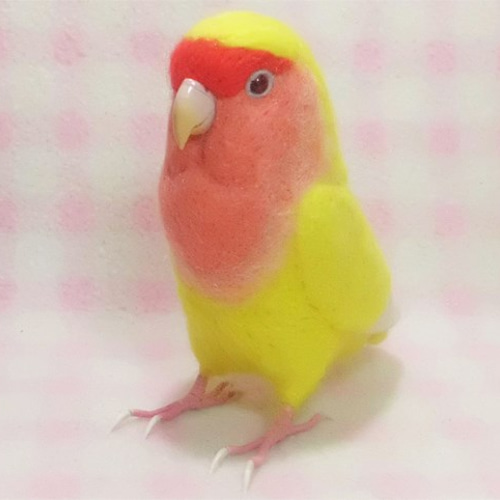 リアルサイズ♪ コザクラインコ ルチノー（濃赤目）羊毛フェルト 受注