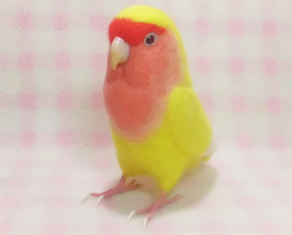 リアルサイズ♪ コザクラインコ ルチノー（濃赤目）羊毛フェルト　受注作成　うちの子オーダー可能　メモリアル　羊毛インコ 2枚目の画像