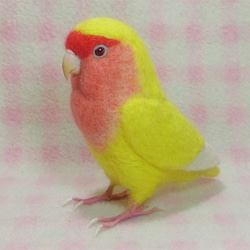 リアルサイズ♪ コザクラインコ ルチノー（濃赤目）羊毛フェルト　受注作成　うちの子オーダー可能　メモリアル　羊毛インコ 3枚目の画像