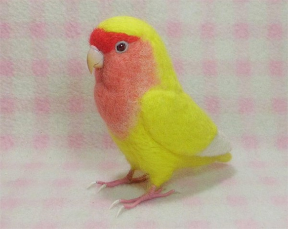 リアルサイズ♪ コザクラインコ ルチノー（濃赤目）羊毛フェルト　受注作成　うちの子オーダー可能　メモリアル　羊毛インコ 3枚目の画像