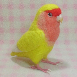 リアルサイズ♪ コザクラインコ ルチノー（濃赤目）羊毛フェルト　受注作成　うちの子オーダー可能　メモリアル　羊毛インコ 4枚目の画像