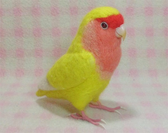 リアルサイズ♪ コザクラインコ ルチノー（濃赤目）羊毛フェルト　受注作成　うちの子オーダー可能　メモリアル　羊毛インコ 4枚目の画像