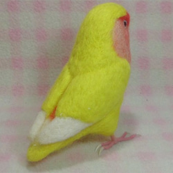 リアルサイズ♪ コザクラインコ ルチノー（濃赤目）羊毛フェルト　受注作成　うちの子オーダー可能　メモリアル　羊毛インコ 5枚目の画像