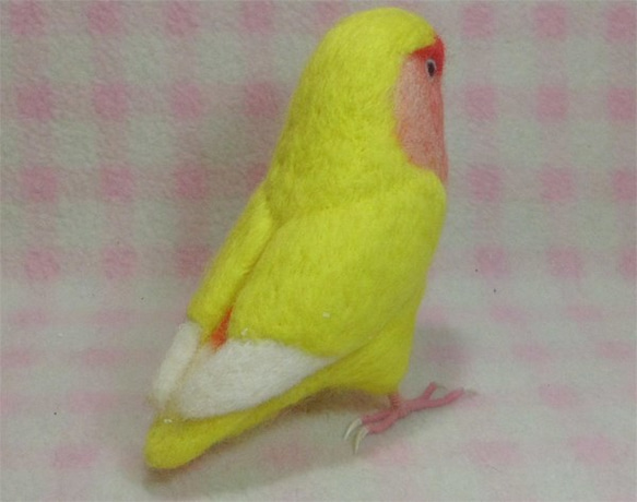 リアルサイズ♪ コザクラインコ ルチノー（濃赤目）羊毛フェルト　受注作成　うちの子オーダー可能　メモリアル　羊毛インコ 5枚目の画像