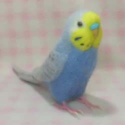 リアルサイズ♪ セキセイインコ レインボーライラック 羊毛フェルト　受注作成　羊毛インコ　羊毛ぬいぐるみ　メモリアル 1枚目の画像