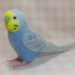 リアルサイズ♪ セキセイインコ レインボーライラック 羊毛フェルト　受注作成　羊毛インコ　羊毛ぬいぐるみ　メモリアル 4枚目の画像