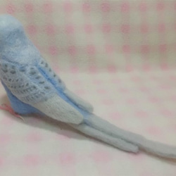 リアルサイズ♪ セキセイインコ レインボーライラック 羊毛フェルト　受注作成　羊毛インコ　羊毛ぬいぐるみ　メモリアル 5枚目の画像