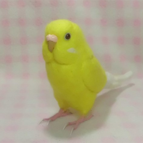羊毛フェルト まんまるルチノーちゃん（赤目） マット付き セキセイインコ ライフサイズ セキセイインコ ルチノー(濃赤目） 羊毛フェルト 受注