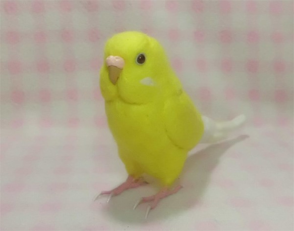 ライフサイズ セキセイインコ ルチノー(濃赤目） 羊毛フェルト 受注