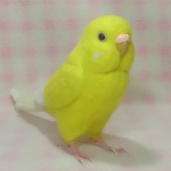 ライフサイズ　セキセイインコ ルチノー(濃赤目） 羊毛フェルト　受注作成　羊毛インコ　羊毛ぬいぐるみ　メモリアル　 2枚目の画像