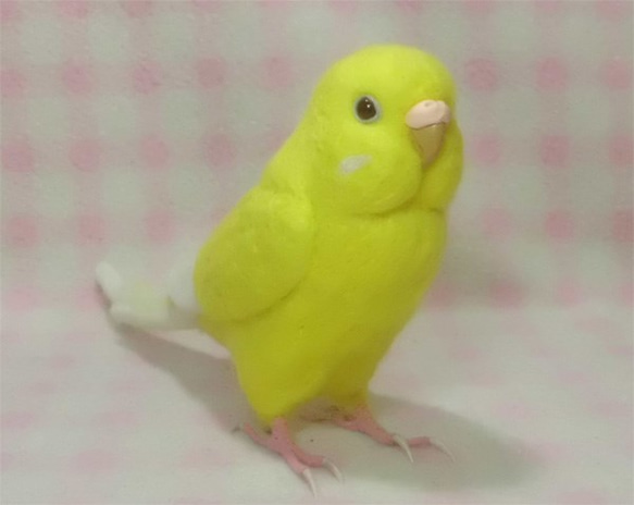 ライフサイズ　セキセイインコ ルチノー(濃赤目） 羊毛フェルト　受注作成　羊毛インコ　羊毛ぬいぐるみ　メモリアル　 2枚目の画像