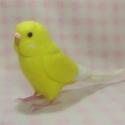 ライフサイズ　セキセイインコ ルチノー(濃赤目） 羊毛フェルト　受注作成　羊毛インコ　羊毛ぬいぐるみ　メモリアル　 4枚目の画像