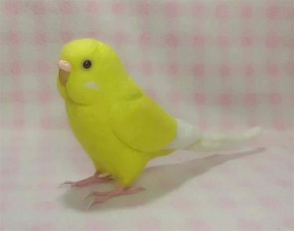 ライフサイズ　セキセイインコ ルチノー(濃赤目） 羊毛フェルト　受注作成　羊毛インコ　羊毛ぬいぐるみ　メモリアル　 4枚目の画像