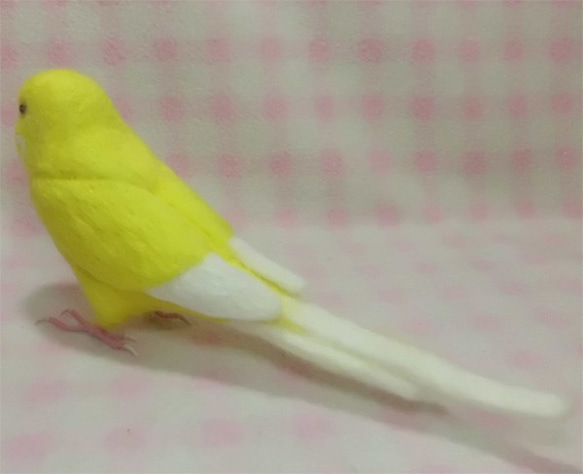 ライフサイズ　セキセイインコ ルチノー(濃赤目） 羊毛フェルト　受注作成　羊毛インコ　羊毛ぬいぐるみ　メモリアル　 5枚目の画像