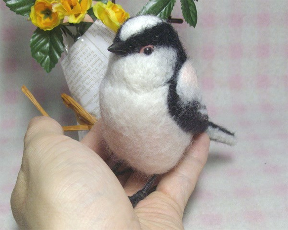 楽天市場】羊毛フェルトキット 桜文鳥と白文鳥 H441-611 ころん