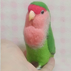 ライフサイズ コザクラインコ ノーマル　羊毛フェルト　受注作成　うちのこオーダー可能　羊毛インコ　メモリアル 2枚目の画像