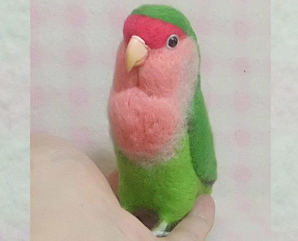 ライフサイズ コザクラインコ ノーマル　羊毛フェルト　受注作成　うちのこオーダー可能　羊毛インコ　メモリアル 2枚目の画像