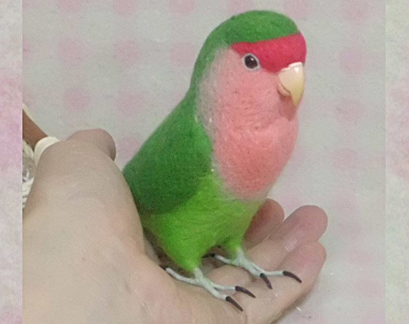 ライフサイズ コザクラインコ ノーマル　羊毛フェルト　受注作成　うちのこオーダー可能　羊毛インコ　メモリアル 3枚目の画像