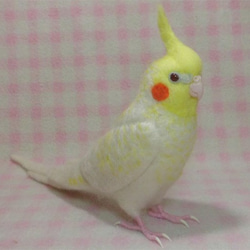 羊毛フェルト リアル オカメインコ ルチノーパール（濃い赤目）ほぼライフサイズ 羊毛フェルト 受注製作　メモリアル 1枚目の画像