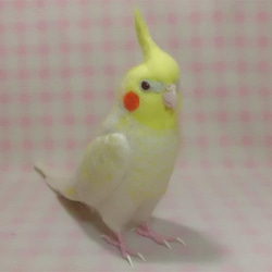 羊毛フェルト リアル オカメインコ ルチノーパール（濃い赤目）ほぼライフサイズ 羊毛フェルト 受注製作　メモリアル 2枚目の画像