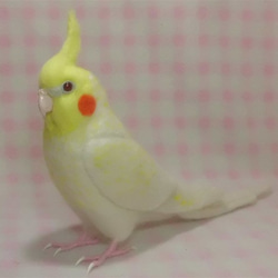 羊毛フェルト リアル オカメインコ ルチノーパール（濃い赤目）ほぼライフサイズ 羊毛フェルト 受注製作　メモリアル 3枚目の画像