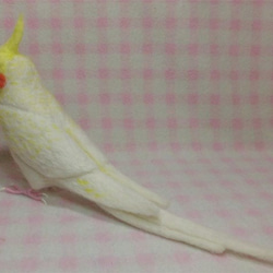 羊毛フェルト リアル オカメインコ ルチノーパール（濃い赤目）ほぼライフサイズ 羊毛フェルト 受注製作　メモリアル 5枚目の画像