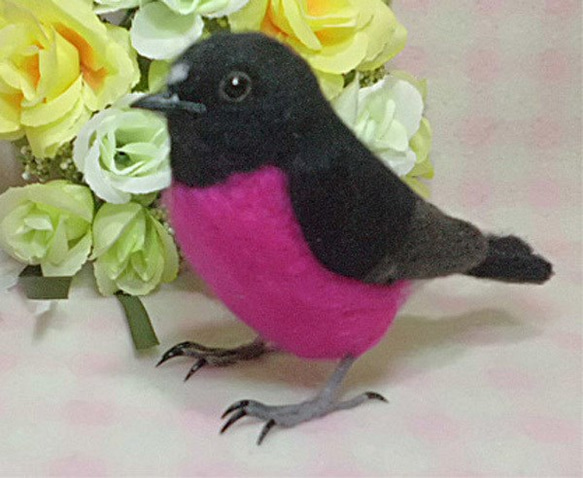 ピンクロビン セグロサンショクヒタキ　ライフサイズ 羊毛フェルト　受注作成　野鳥　羊毛インコ　羊毛ぬいぐるみ　 3枚目の画像