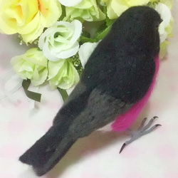 ピンクロビン セグロサンショクヒタキ　ライフサイズ 羊毛フェルト　受注作成　野鳥　羊毛インコ　羊毛ぬいぐるみ　 5枚目の画像