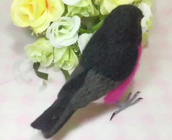 ピンクロビン セグロサンショクヒタキ　ライフサイズ 羊毛フェルト　受注作成　野鳥　羊毛インコ　羊毛ぬいぐるみ　 5枚目の画像