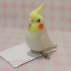 miniオカメインコ ルチノー（赤目）☆マグネット/ブローチどちらか選択　足有に変更可能　受注作成　羊毛フェルト 1枚目の画像